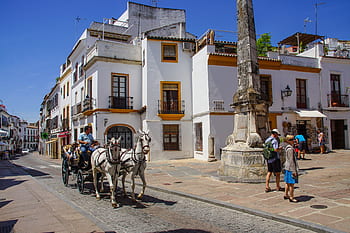 Španělsko, cordoba, andalusie, světové dědictví, mezquita, město, květináč, cestovní ruch, nebe, budova, maurský