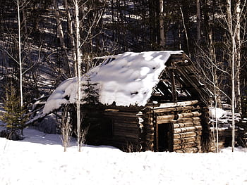 brown wooden house, Old Log Cabin, Winter, Snow, Nature, log, cabin, house, cottage, rustic, country