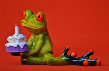 holding, cake figurine, red, surface, Happy Birthday, Frog, Greeting, birthday, greeting card, funny, colorful