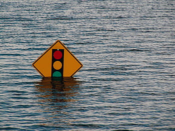 yellow, road signage, surrounded, body, water, sign, stoplight, board, red, green, warning Sign