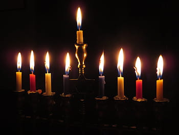 roztříděný, barva, svítí, svícny, svíčky, menorah, světlo, hanukkah, oslava, festival, tradice