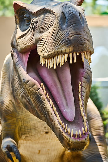 dinosauro, animale, selvaggio, denti, predatore, rettile, giurassico, mostro, pericoloso, paleontologia, capo