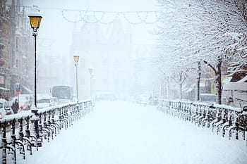 puente, árboles, nieve, mini, ciudad, cerca, torre, invierno, blanco, frío, clima