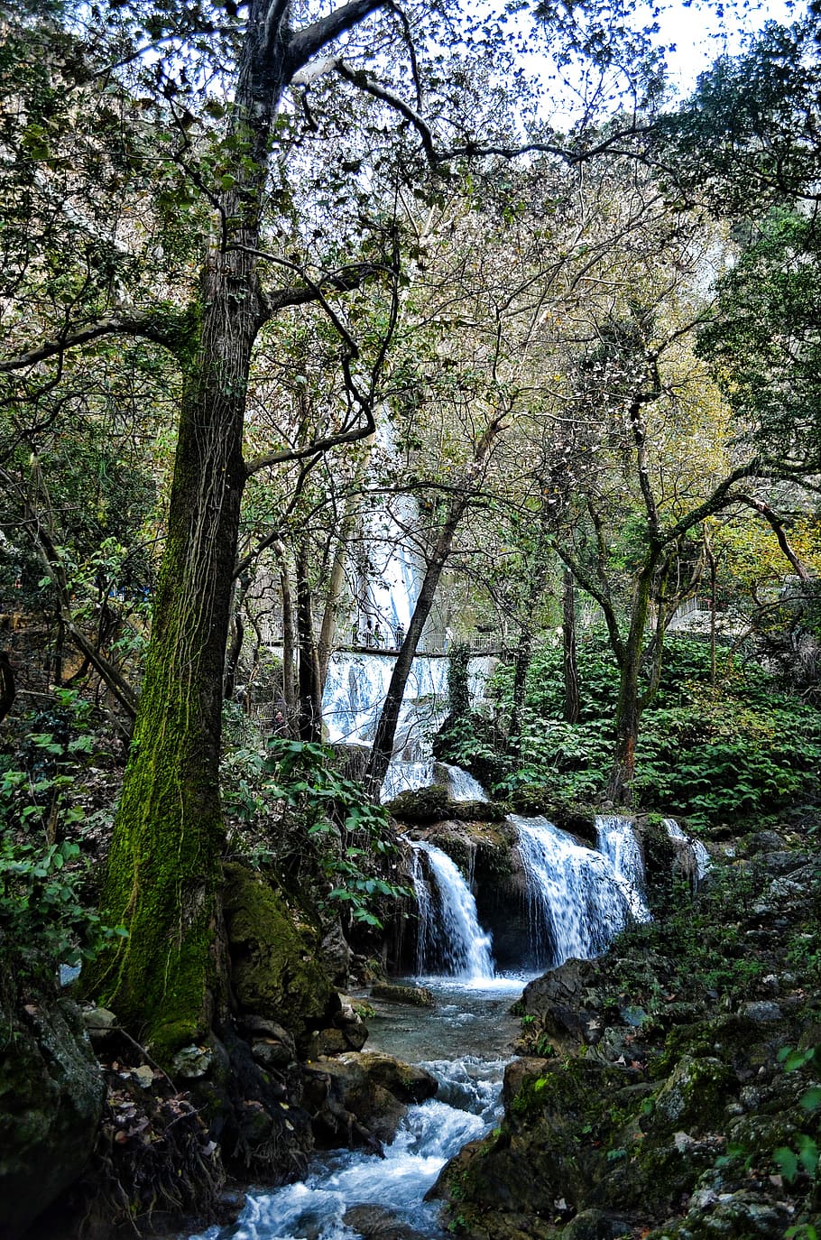 vodopád, cola de caballo, voda, řeka, park, životní prostředí, hora, scénický, Monterrey, ráj, krajina