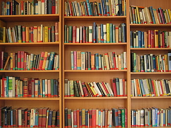 roztříděný, učení se, knih, hnědý, dřevěný, knihovna, rezervovat, regál, číst, literatura