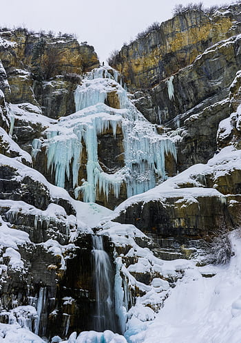 Schnee, Winter, Weiß, kalt, Wetter, Eis, Bäume, Pflanzen, Natur