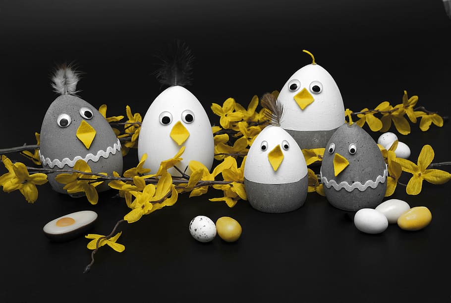 photography, grey, white, egg decors, concrete chick, concrete, tinker, chickens, grey and white, feather, sugar eggs