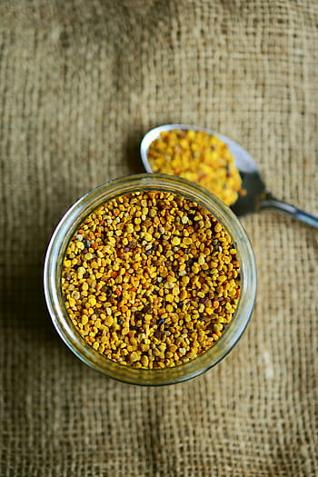 braun, Substanzen, Einmachglas, Bienenpollen, Pollen, Bienenprodukt, Natur, Gesundheit, heilen, gesund, natürliches Produkt