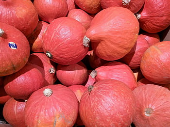 Pumpkin, Decorative, Squashes, autumn, decorative squashes, gourd, halloween, dare, vegetables, crop, harvest festival