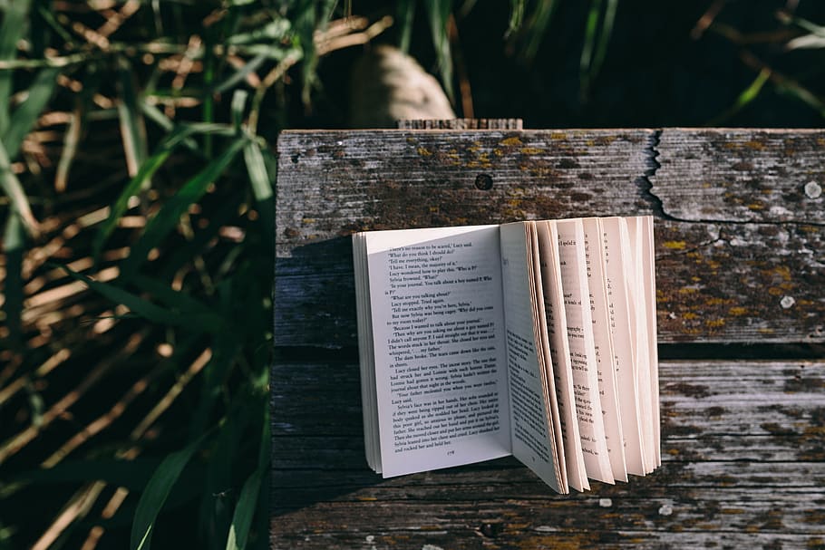 verão, descansando, livro, relaxante, tempo, livro de leitura, noite, hora mágica, livro de leitura menina, livro de leitura menino, homem com livro