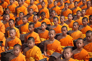 meditující mniši photo, Thajsko, buddhisté, mniši, nováčci, přemýšlet, buddhismus, děti, oranžový, roucha, thai