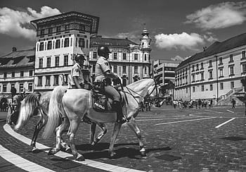 fotografie ve stupních šedi, dva, osoba, jezdectví, koně, ve stupních šedi, fotografie, jezdců, architektura, budov, město