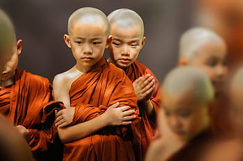 chlapci mniši, theravada buddhismus, nováčci, theravada samanera, klášter, buddhista, buddhismus, náboženský, theravada, mniši