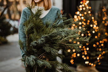 ramos de pinheiro, pinheiro, mulher, árvore de natal, árvore, loira, natal, feriado, dezembro, exploração, ramos