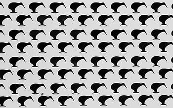 black, white, pattern wallpaper, new zealand, kiwi, bus travel, logo, bird, funny, backgrounds, pattern