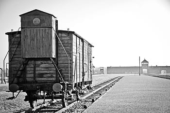 fotografie ve stupních šedi, vlak, železnic, Osvětim, birkenau, válka, holocaust, Polsko, vězení, tábor, koncentrace