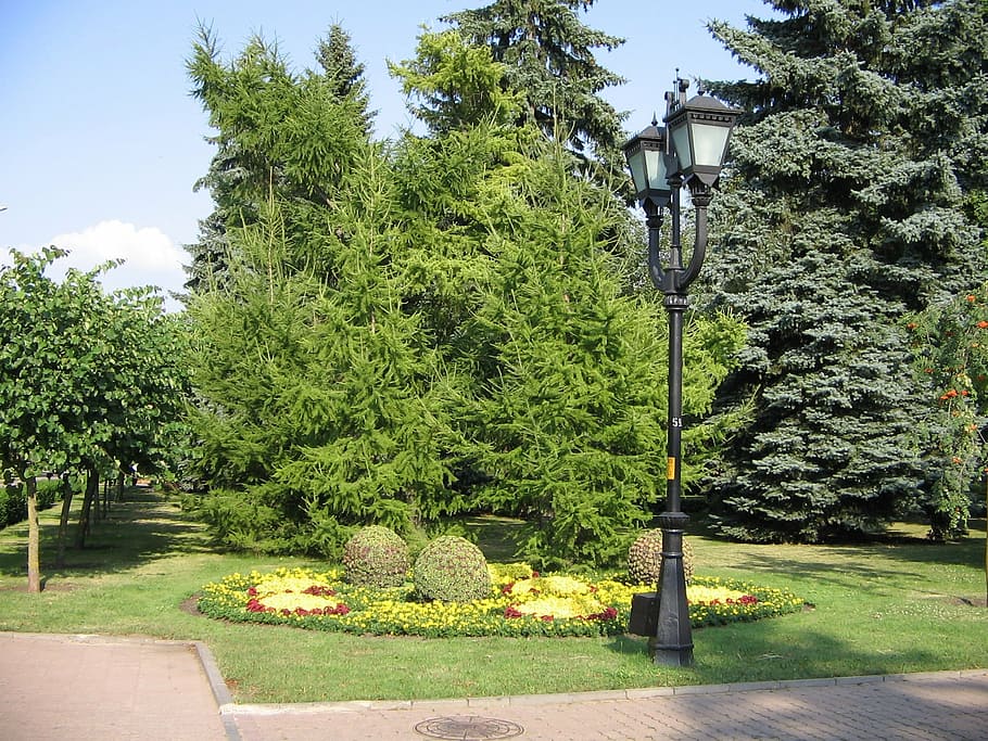 central square, stavropol, lantern, tree, nature, park - Man Made Space, formal Garden, outdoors
