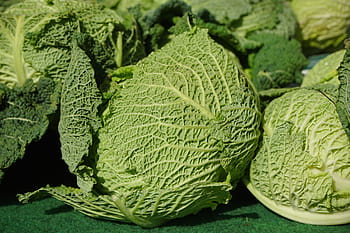 Kadeřávek, zelenina, kohl, savoy, zdravý, zelená, welsch karbonát, welsch bylina, wirz, hlávkové zelí, zelí