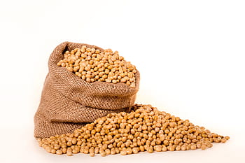 sacco di semi, semi di soia, piante, semi, Borsa, tela ruvida, grano, olio, fagioli