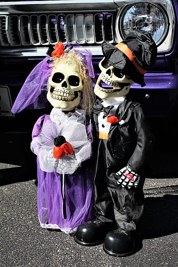 halloween, halloween decor, skeletons, goth, gothic, spooky, skull, day of the dead, haunted, halloween party, halloween costume