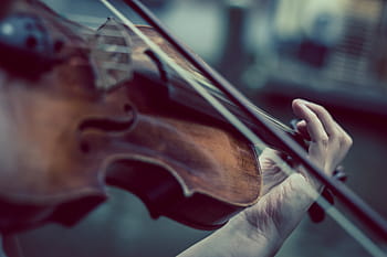 person, playing, brown, violin, violinist, music, classic, musical Instrument, musician, classical Music, musical Instrument String