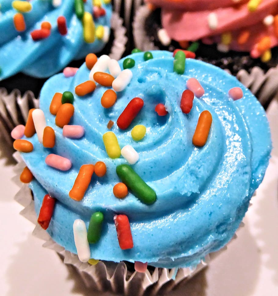chocolate mini cupcake, blue frosting, sprinkles, sweet, food