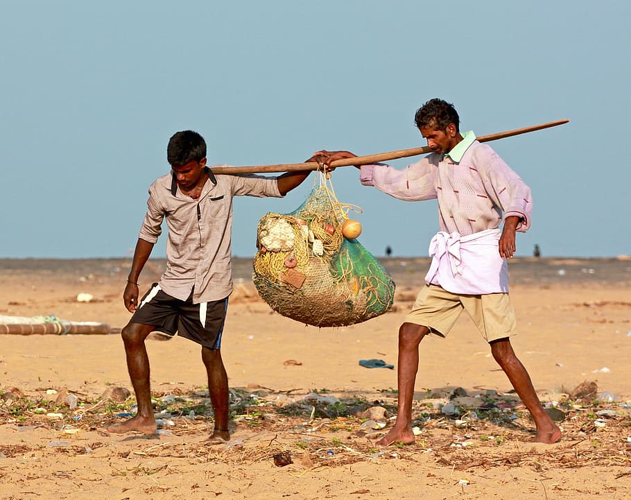 fishermen, nets, ocean, fishing net, equipment, carrying, labor, india, sea