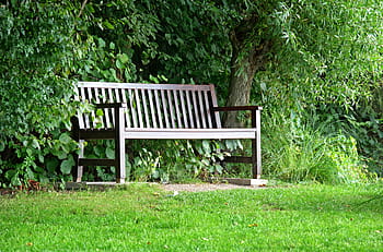 Bench, Bank, Seat, Trees, Nature, Green, rest, forest, garden, resting place, recovery