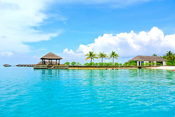 palm trees, cloudy, sky, body, water, maldives, coconut tree, sea, resort, summer, holiday