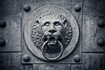 aslan kapı topuzu, hedef, kapı, giriş, tarihsel, mimari, eski, bağlantı parçaları, eski kapı, Aslan başı, uydurma