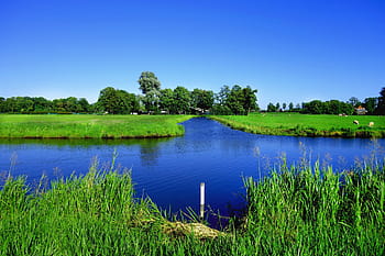 water, waterway, field, grass, countryside, rural, polder, blue skies, blue water, green, summer