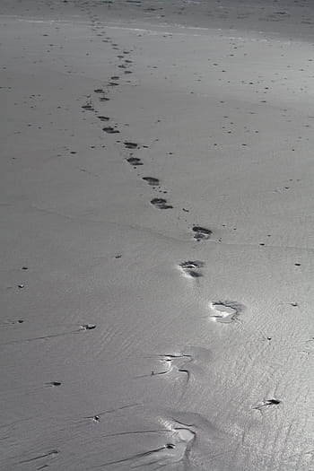 odciski stóp, piasek, stopa, wydruki, plaża, ślady stóp, kroki, ślad stopy, Natura, na dworze, morze