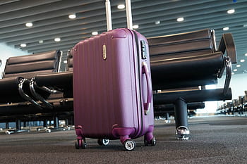 purple, luggage, gang chair, airport, terminal, trip, flight, departure, vacation, journey, transportation