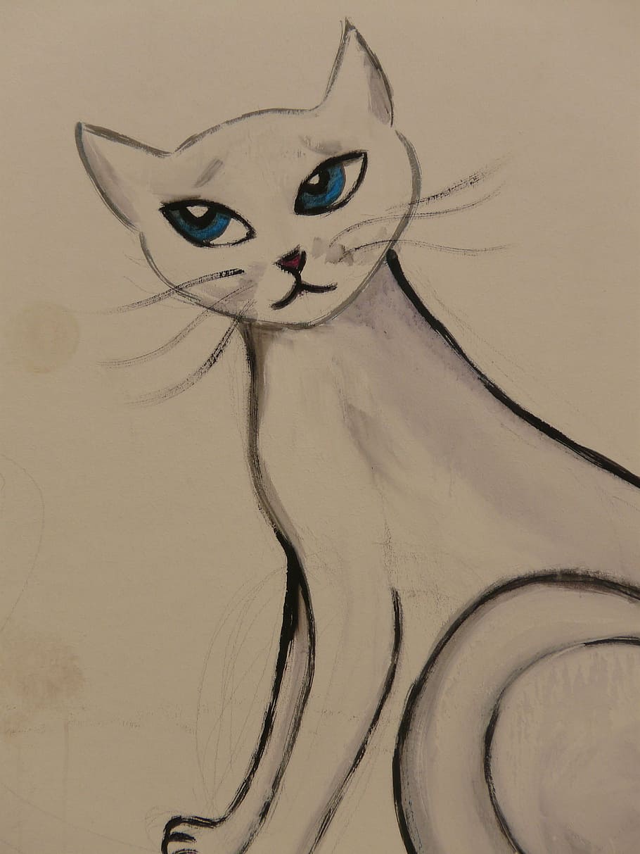 gatto, disegno, Immagine, pittura, animale, graffiti, dipingere, opera d'arte, artisti, gatto domestico, carina
