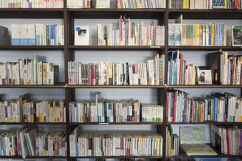 assorted-title book lot, bookshelf, book, novel, read, library, shelf, author, pages, sheets, literature