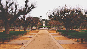 golden gate park, San Francisco, Kalifornie, lavičky, cesta, fontána, stromy