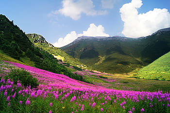 slovakia, high tatras, la, landscape, nature, mountain, hiking