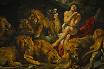 daniel, lev, den malba, malování, daniel v den lvů, peter paul rubens, umění, barva, dekorace, ženský, lvi