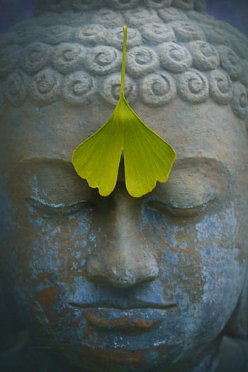 socha Buddhy, zelená, list, Buddha, zen, rozjímání, kamenná postava, fernöstlich, Indie, věřte, modlitba
