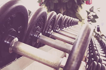 hromada, šedé a černé činky, zdatnost, činky, výcvik, fitness studio, studio, hmotnost, vyzdvihnout, platnost, paže