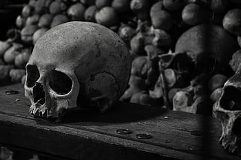 grayscale photography, skulls, grayscale, photography, kutna hora, ossuary, bones, hora, skeleton, human, death