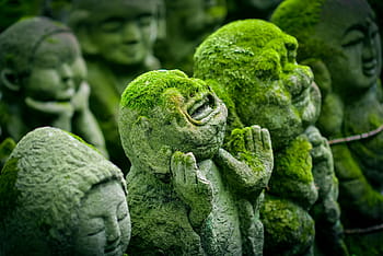 člověk, beton, socha, mech, kyoto, Japonsko, jizo, japonský, náboženství, kultura, Asie
