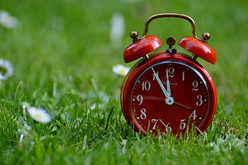 selective, focus photo, red, bell alarm clock, green, grass field, the eleventh hour, disaster, alarm clock, clock, ring the bell