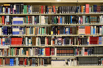 assorted-title books display, shelf, library, books, knowledge, information, bookshelves, bookshelf, data, college, university