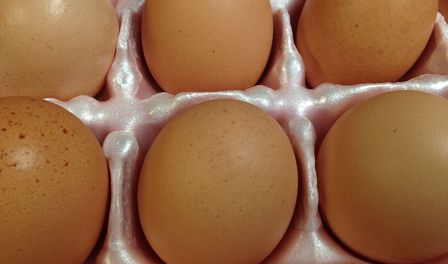 vejce, hnědá vejce, kuře, organický, shell, snídaně, čerstvý, hospodařit