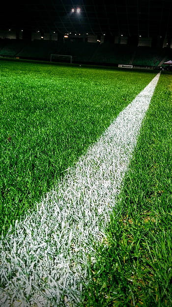 garis, sepak bola, lapangan, lapangan sepak bola, putih, rumput, olahraga, stadion sepak bola, lapangan hijau