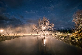strom, světlo, vedle, tělo, voda, temný, modrý, mraky, nebe, noc, odraz