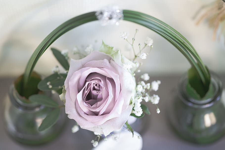 selective, focus photography, purple, rose, bloom, arrangement, pink, romantic, flower, blossom, dusky pink