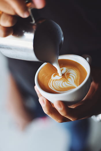 osoba, nalévání, mléko, café latte, káva, kavárna, dřevo, horký, džbánek, pohár, bílý