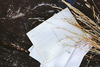 kartu pos, gandum, Tua, vintage, foto, dokumen, kertas, tidak ada orang, close-up, hari, di luar ruangan